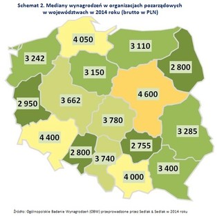 Czy opłaca się pracować w NGO? Zobacz, ile płacą organizacje pozarządowe