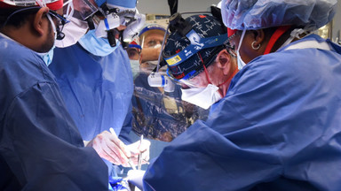 Lekarze z USA udanie wszczepili człowiekowi świńskie serce