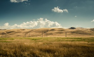 Polska będzie jak Kalifornia lub Australia? Ekspert ostrzega