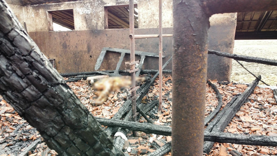 Potresne slike požara