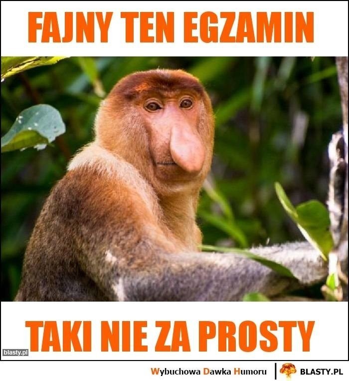 Najlepsze memy tygodnia. Tym żył internet