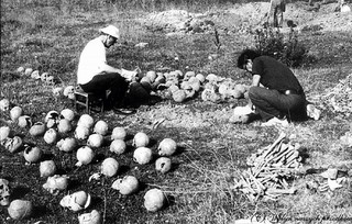 Wołyń 1943: Między czystką etniczną a ludobójstwem