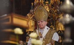 Abp Jędraszewski powie wiernym, jak walczyć z "tęczową zarazą"