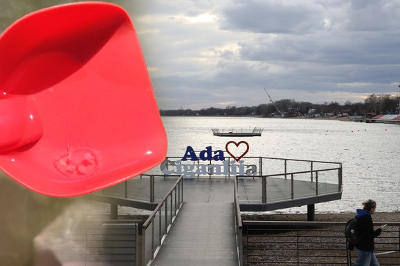 (FOTO) SAVSKO JEZERO JE PUNO MEDUZA, A EVO ŠTA TO GOVORI O KVALITETU VODE Na našu Adu Ciganliju došle su iz Kine, evo kako izgledaju i da li su opasne