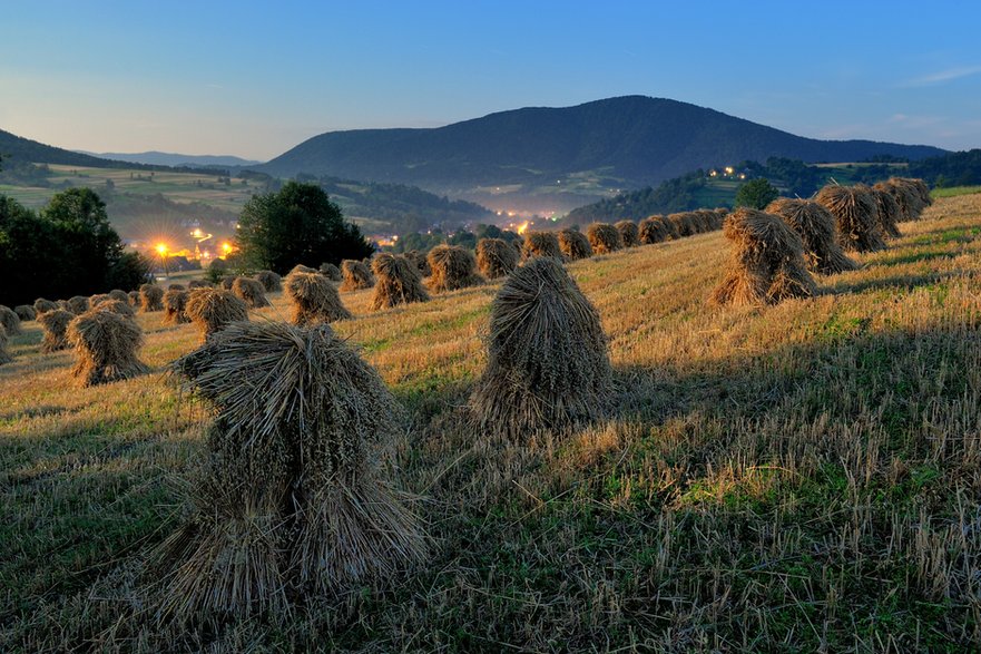 Zagórzańskie Dziedziny. fot. Bogdan Skrzekut