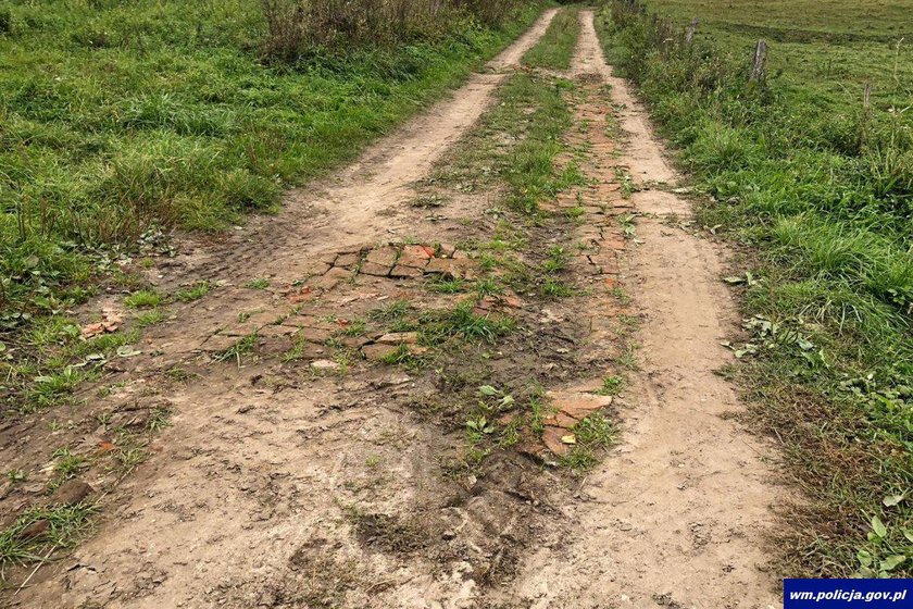 Kradzioną cegłą z zabytkowego pałacu łatali dziury w drodze