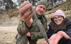 Sensacyjne odkrycie nad Bałtykiem. Na plaży nagle coś "zadzwoniło"