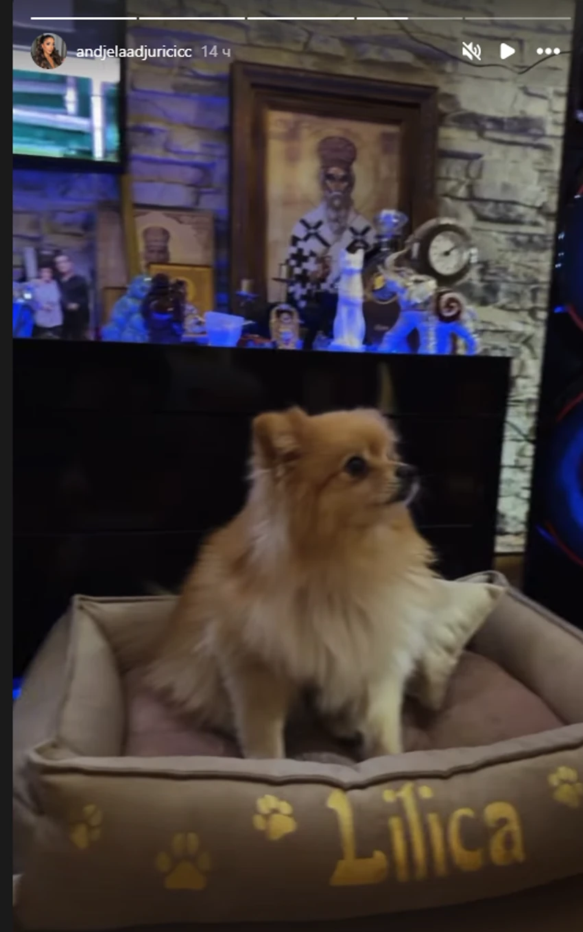 OVDE ŽIVE GASTOZ I ANĐELA Zadrugarka pokazala prazničnu dekoraciju, ikone svuda po stanu, a jedan detalj je svima zapao za oko (FOTO)