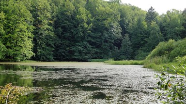 Jeziorka Duszatyńskie przyciągają tysiące turystów