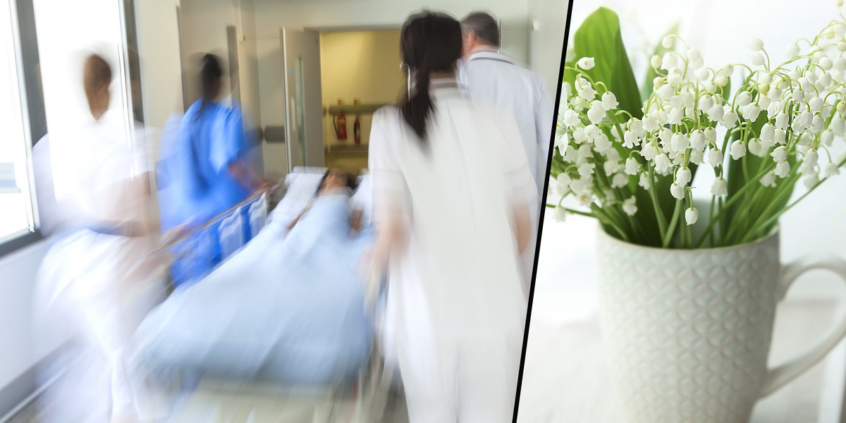 16-latka trafiła do szpitala po wypiciu wody po kwiatkach
