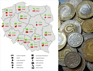 W której branży zarobisz najwięcej? Zobacz mapę z podziałem na województwa