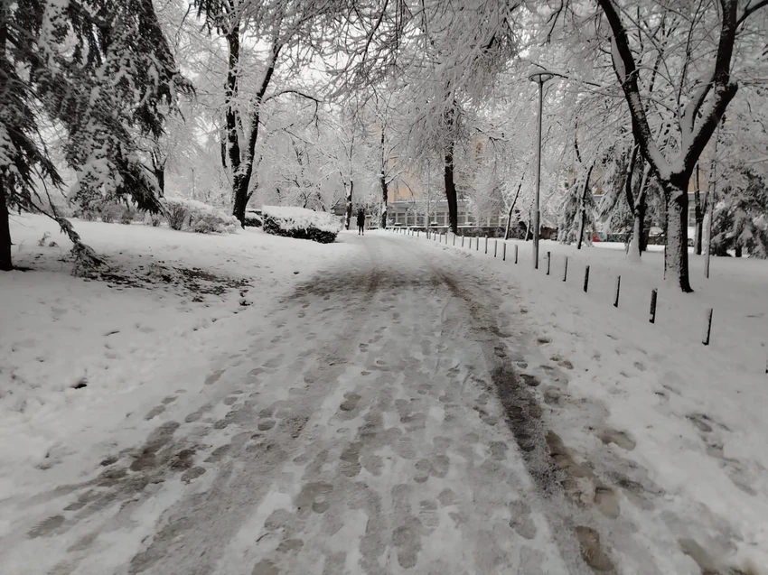 Sneg, Tašmajdanski park