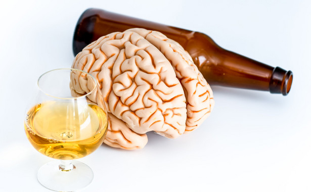 Wpływ alkoholu na mózg