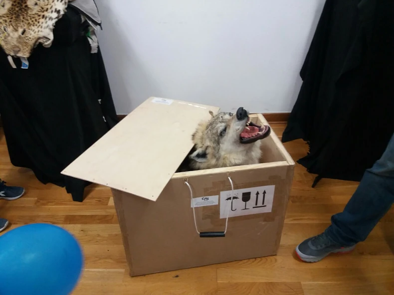 Carinici nema na šta nisu nailazili