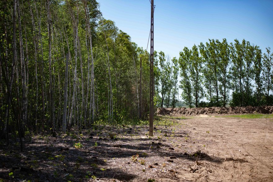 Teren pod kopalnię w Porszewicach