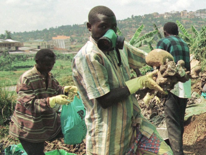 Ludobójstwo w Rwandzie