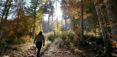 Prognoza pogody. Weekend będzie deszczowy?