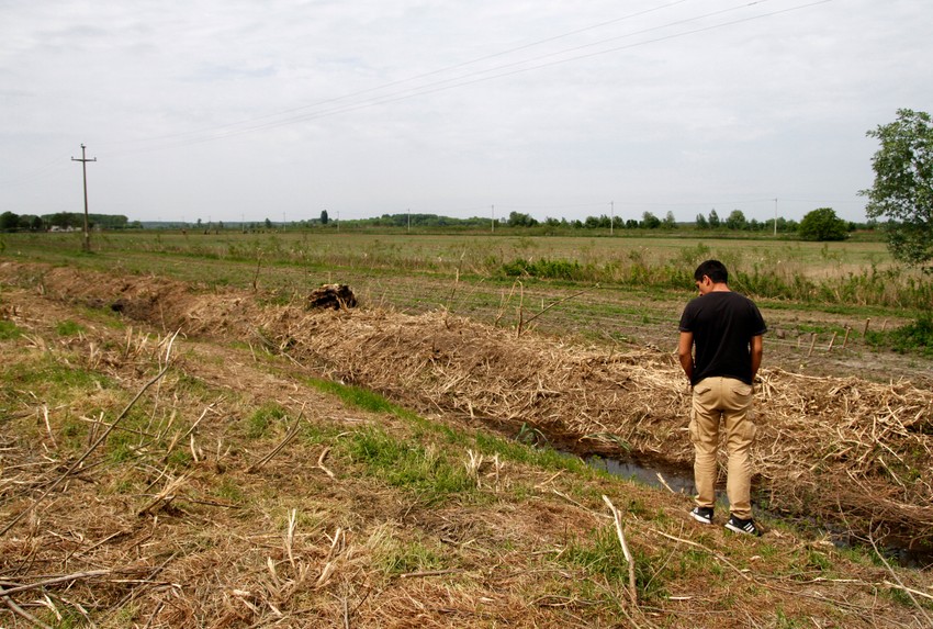 Tokom istrage u medijima su se navodili i kamen, motka, bejzbol palica, pa i čekić i šrafciger