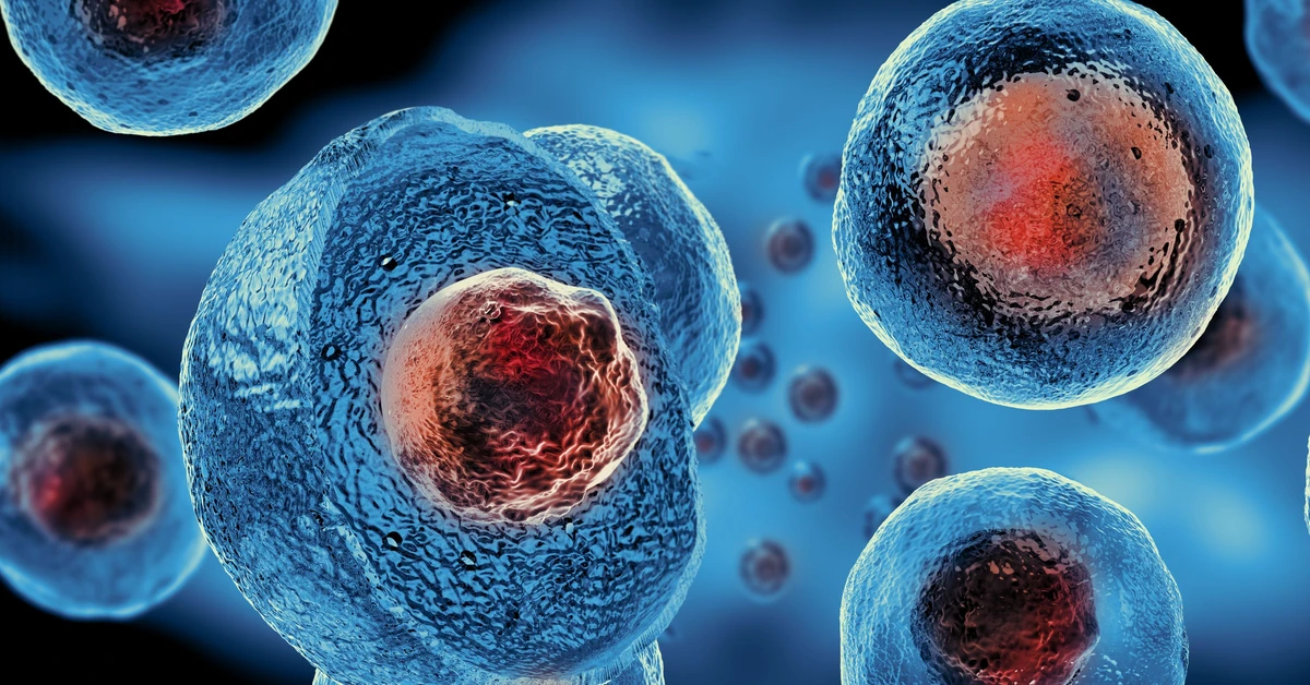 Mini-mózgi pod kontrolą elektroniki. Przełomowe narzędzie pozwala „podsłuchać” pracę neuronów