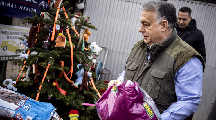 Orbán Viktor személyesen szállította ki a telepre az állatoknak szánt eledelt / Fotó: MTI