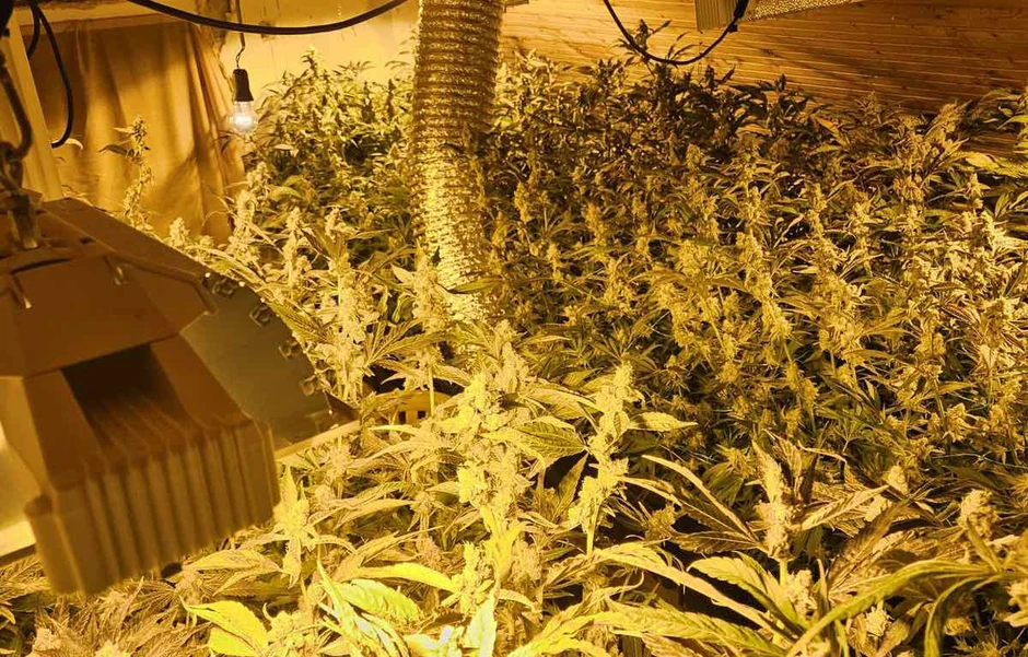 Laboratorija u Čačku