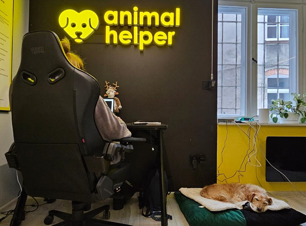 Aplikacja Animal Helper rusza w kolejnych województwach