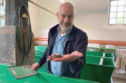 "Martwe ryby w Odrze". Ten reportaż trzeba zobaczyć