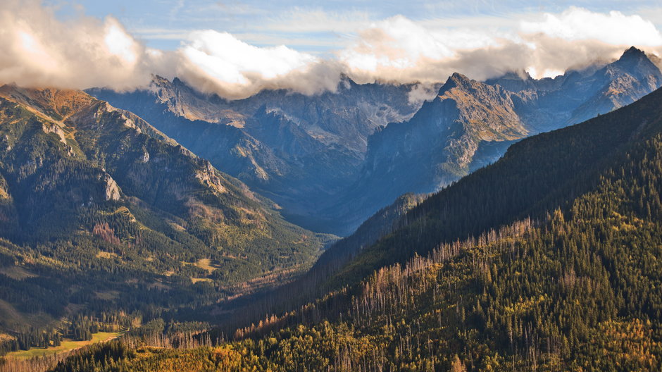 Widok na dolinę w Tatrach - Przemysław Głowik/stock.adobe.com