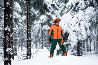 Kary za kradzież choinek uderzą po kieszeniach