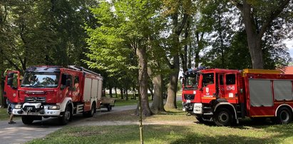 Wybrali się na spacer do parku. Zobaczyli coś strasznego w fosie. Natychmiast odgrodzono teren