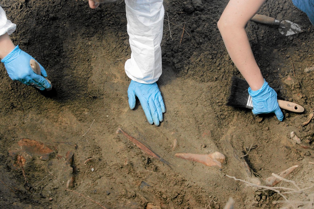 Prace ekshumacyjne na "Łączce" na Powązkach