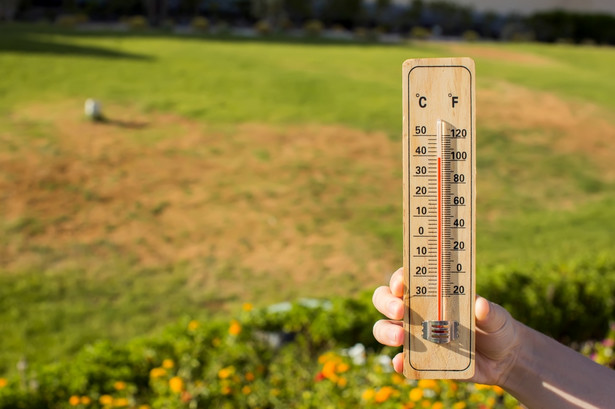 Rekordowe temperatury w sierpniu? IMGW zdradza szczegóły