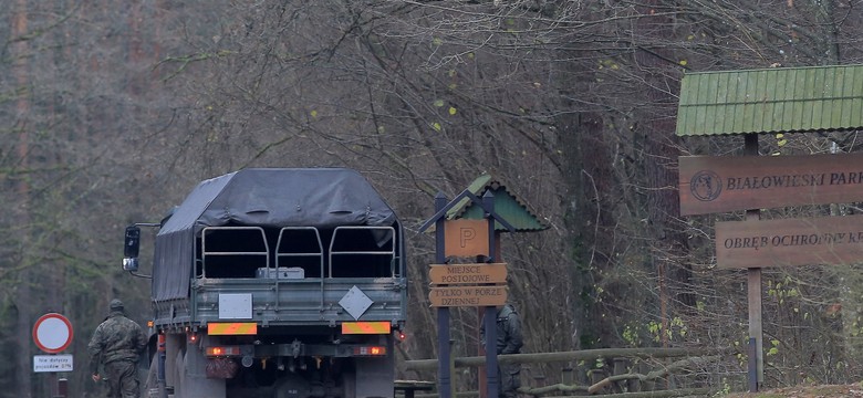 "Pojedyncze dymisje nie wystarczą". Politycy PiS: Muszą polecieć głowy