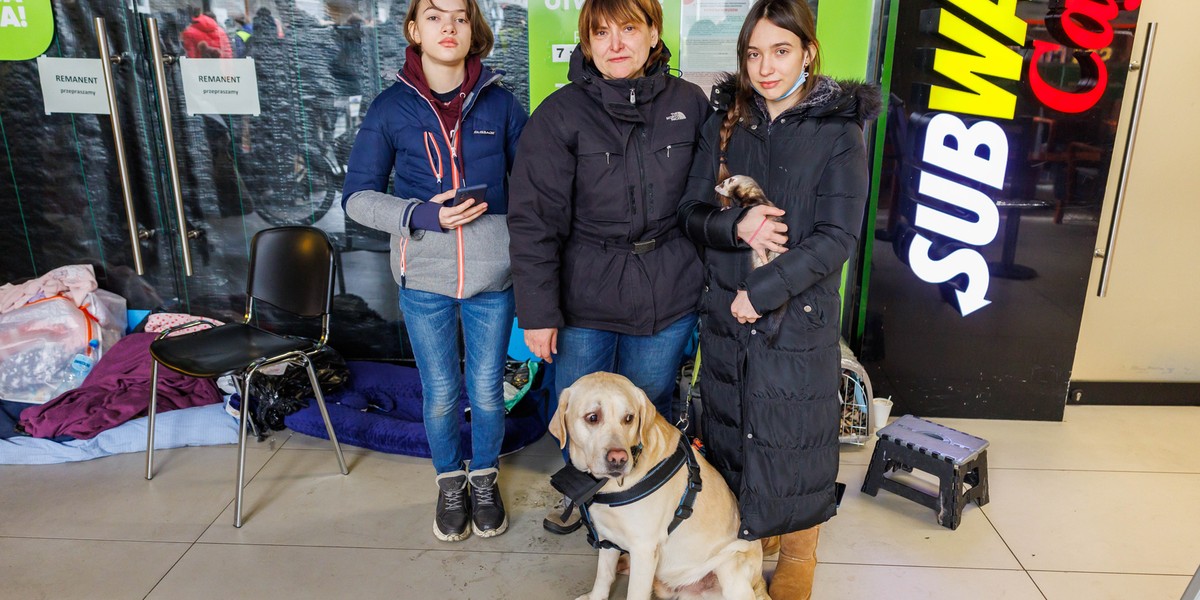 Swietłana z dziećmi, labradorem, papuga i tchórzofretką uciekły z Ukrainy