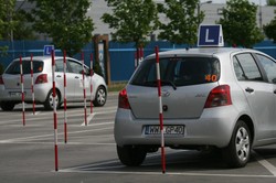 Ulice paraliżują wlekące się "elki". W twoim mieście też tak jest?