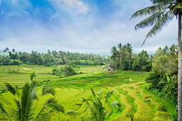 Bali, Sri Lanka i Komodo. Egzotyczny urlop na wyciągniecie ręki