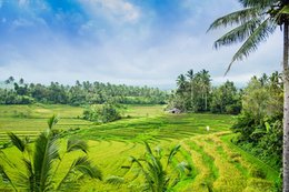 Bali, Sri Lanka i Komodo. Egzotyczny urlop na wyciągniecie ręki