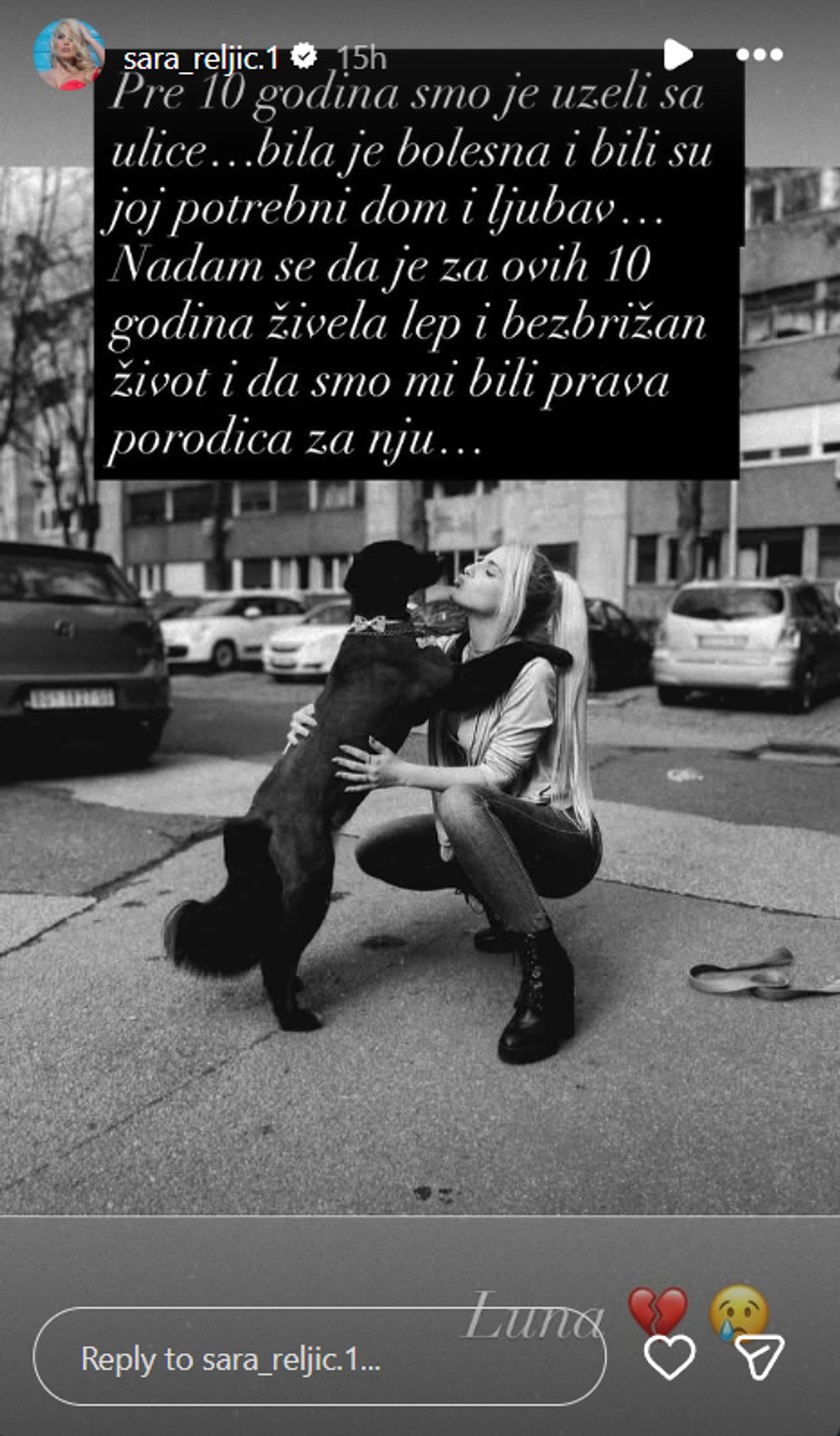 Sari Reljić uginuo pas