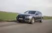 Audi Q7 – luksus w wydaniu XXL