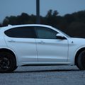 Alfa Romeo Stelvio Quadrifoglio to najbardziej szalony SUV świata