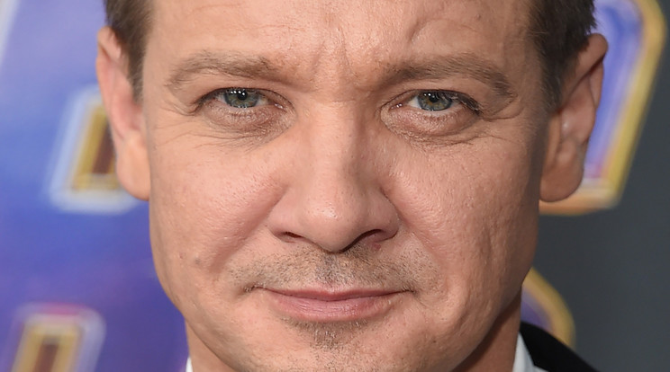 Jeremy Renner/ Fotó: Northfoto