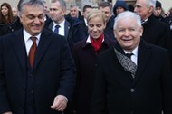 Jaroslaw Kaczynski i Viktor Orban na Wawelu