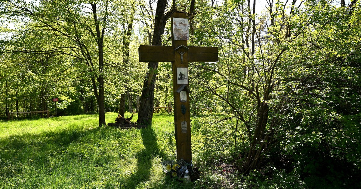 Bieszczady z historią ukrytą pod ziemią. "Nagle do nas dotarło, iż jesteśmy w czyjejś kuchni"