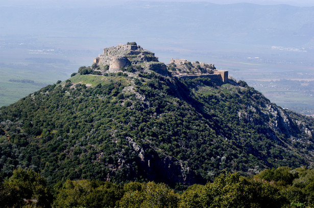 Francja wyklucza uznanie suwerenności Izraela nad Wzgórzami Golan. "To terytorium okupowane"