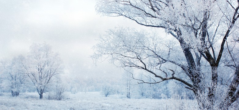 Śnieg już lepiej niech nie pada. Nie ma za co odśnieżać...