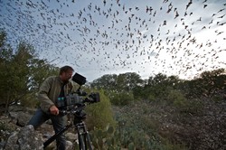 "Niedźwiedź polarny próbował nas pożreć". Filmowiec Discovery Channel dla dziennik.pl
