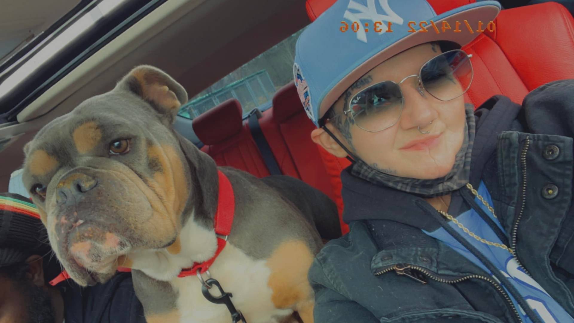 Vlasnica pronašla svog psa pet godina nakon što je nestao: "Ja sam otišla da se lečim od raka, a ona je pobegla od kuće"