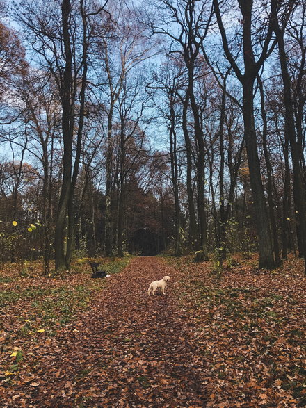 Dostępnych jest również ponad 40 km ścieżek