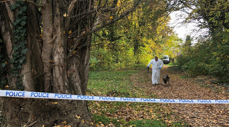 A történtekkel összefüggésben egy személyt őrizetbe vettek / Fotó: police.hu