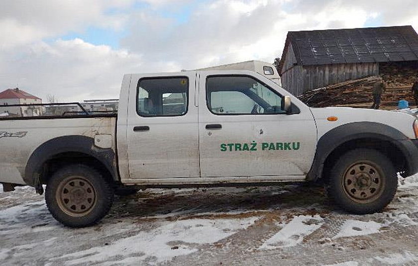 Szeryf z bagien stracił pracę